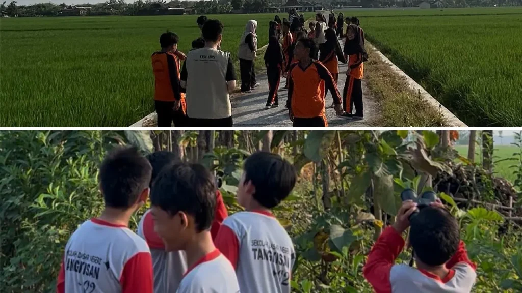 Para siswa saat melakukan pengamatan burung di ekosistem sawah menggunakan alat yang bernama binokuler. Foto: KKN 310 UNS
