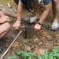 Mahasiswa KKN 62 UNS bersama warga Desa Sewurejo melakukan praktik langsung pembuatan lubang resapan biopori sebagai upaya pengelolaan sampah organik dan pencegahan genangan air. Foto: KKN 62 UNS