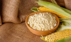 Saat Agroindustri Tepung Jagung Instan Jadi Wajah Baru Pertanian Modern Indonesia