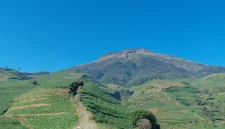 Pemandangan hijau perkebunan tembakau di Desa Glapansari dengan latar megah Gunung Sumbing menjadi daya tarik utama gardu pandang “Satu Titik Seribu Pandang” hasil karya KKN UNS Kelompok 328. Foto: KKN UNS Kelompok 328
