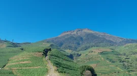 Pemandangan hijau perkebunan tembakau di Desa Glapansari dengan latar megah Gunung Sumbing menjadi daya tarik utama gardu pandang “Satu Titik Seribu Pandang” hasil karya KKN UNS Kelompok 328. Foto: KKN UNS Kelompok 328