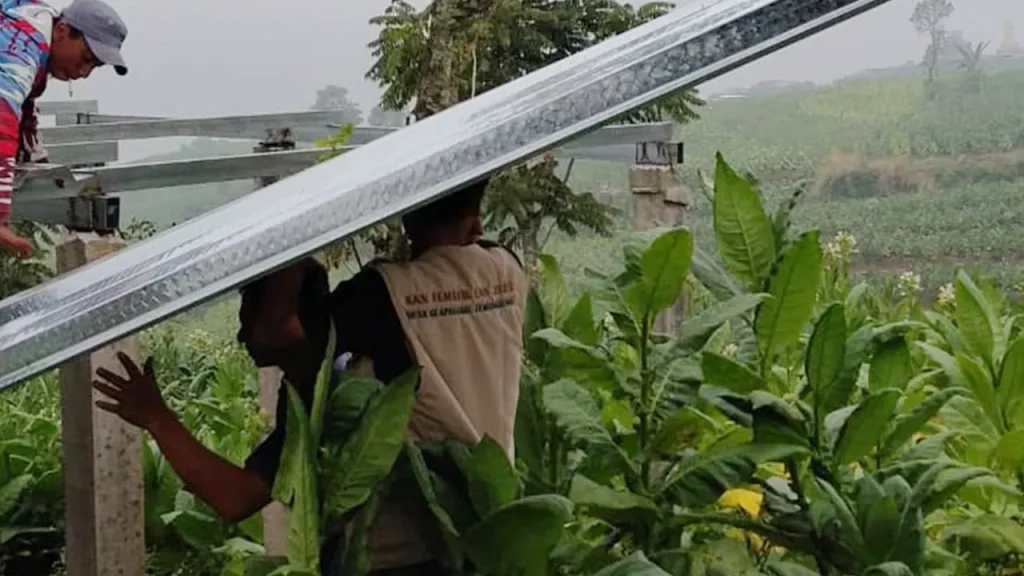 Proses pembangunan gardu pandang “Satu Titik Seribu Pandang” oleh mahasiswa KKN UNS Kelompok 328 bersama warga Desa Glapansari dilakukan secara gotong royong di tengah area perkebunan. Foto: KKN UNS Kelompok 328