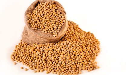 Kedelai lokal memiliki potensi besar untuk naik kelas lewat pengembangan agroindustri, dari bahan tahu-tempe hingga produk ekspor berbasis nabati. Sumber: wallpaperflare.com