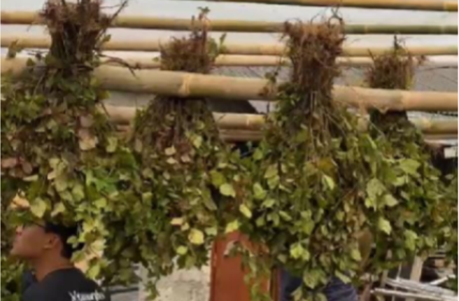 foto slider headline