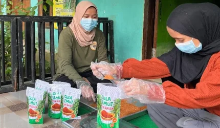 Mahasiswa KKN-T Unram bersama pengrajin Giri Madia menimbang dan mengemas gula semut hasil produksi lokal sebagai bagian dari pelatihan peningkatan mutu dan pemasaran produk aren. Foto: Tim KKN Tematik Desa Giri Madia