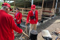 Proses pembuatan briket dengan memanfaatkan kotoran sapi. Foto: Pribadi