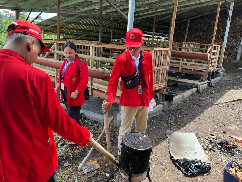 Proses pembuatan briket dengan memanfaatkan kotoran sapi. Foto: Pribadi