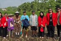 Mahasiswa Universitas 17 Agustus 1945 (UNTAG) Surabaya berfoto bersama petani di lahan pertanian Desa Kuripansari usai kegiatan pendampingan pemanfaatan alat penebar pupuk jagung, sebagai bagian dari program pengabdian masyarakat untuk meningkatkan efisiensi pemupukan dan produktivitas hasil panen. Foto: Pribadi