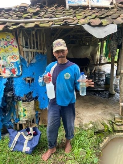 Seorang peternak sapi perah di Desa Bendungan Jati memperlihatkan cairan Rapelan, bahan pengusir serangga ramah lingkungan hasil pendampingan mahasiswa KKN Universitas 17 Agustus 1945 Surabaya, yang digunakan untuk mengurangi gangguan lalat di area kandang dan menjaga kesehatan ternak. Foto: Pribadi
