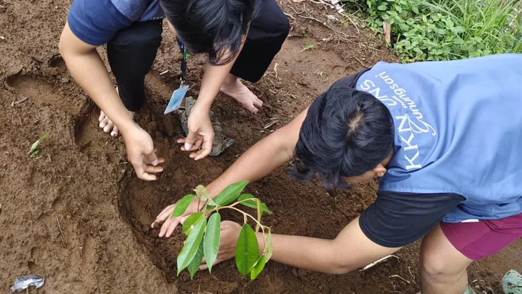 Penanaman Bibit Durian di Lahan Sekitar Desa Gunungsari. Foto: KKN 74 Universitas Sebelas Maret