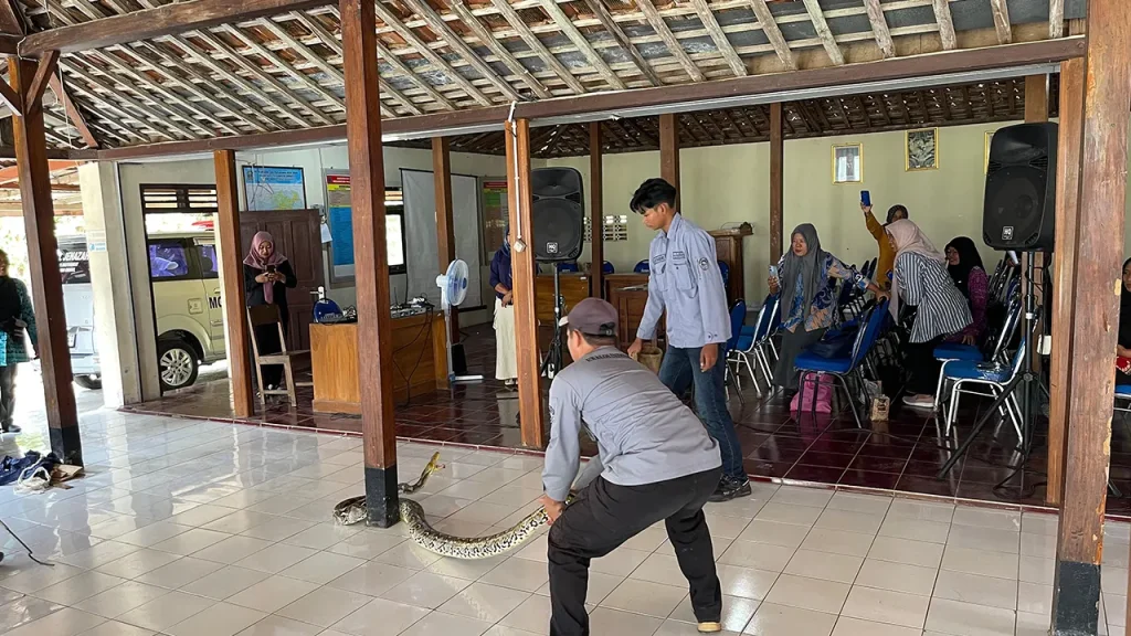 Narasumber dari EXALOS INDONESIA dan KATANYAPALA memberikan simulasi pengenalan perilaku ular di hadapan warga dan mahasiswa KKN UNS Kelompok 29 di Pendopo Kalurahan Grogol, Selasa (27/1/2026). Foto: Dokumentasi KKN UNS Kelompok 29 Grogol