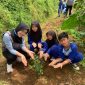 Praktik penanaman pohon oleh siswa SDN Seloprojo didampingi mahasiswa KKN UNS. (Foto: KKN UNS 81 Seloprojo)