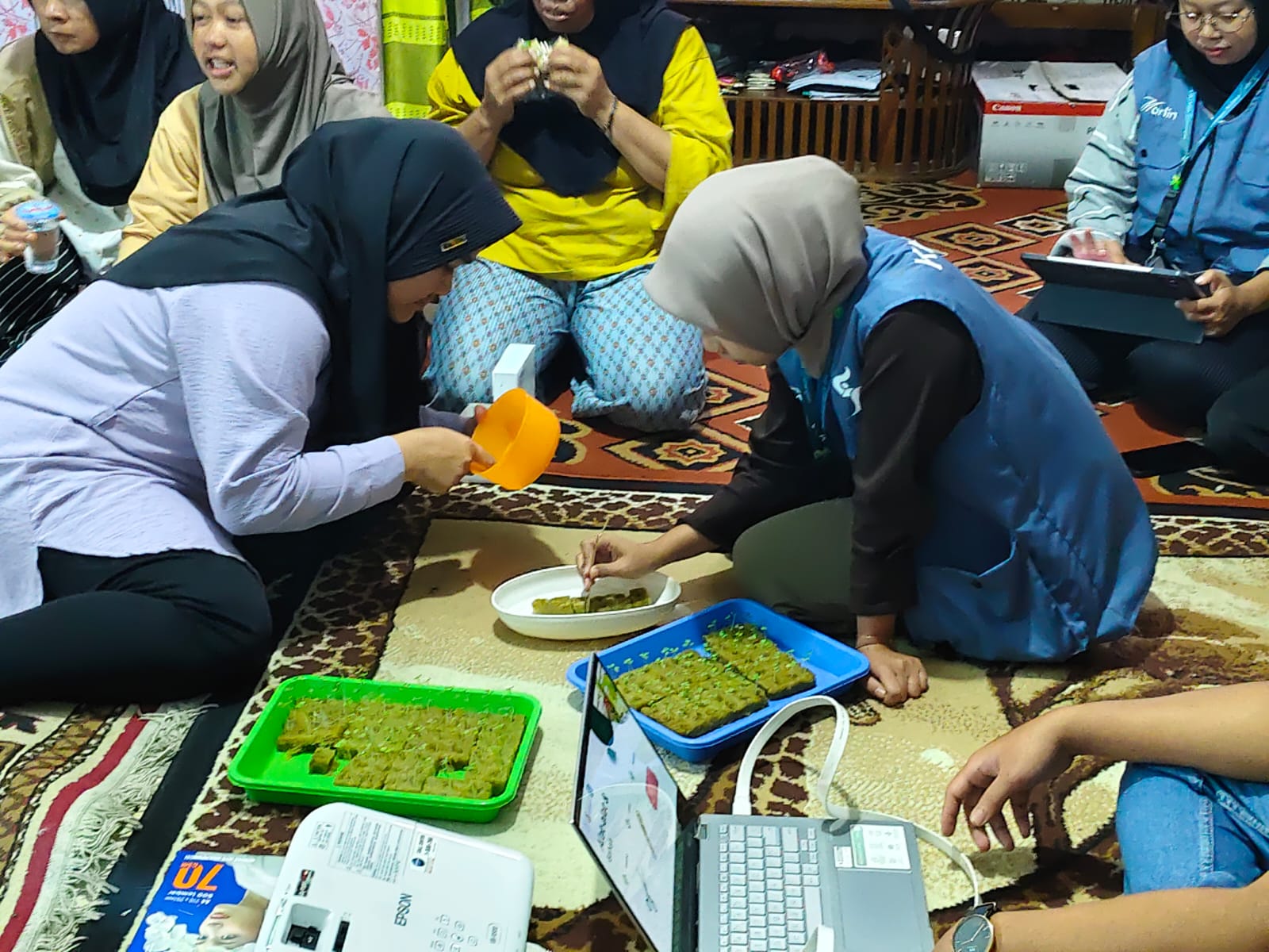 Penyemaian benih pakcoy dan pembuatan larutan bersama Kelompok Wanita Tani Puspita Arum Desa Gunungsari. Foto: KKN 74 UNS