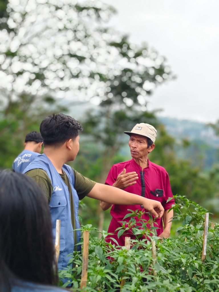 Diskusi dan Pemasangan Pelikat Kuning di Lahan Bapak Parji Desa Gunungsari. Foto: KKN 74 UNS