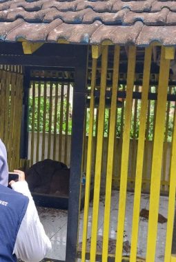 Cegah Sejarah Desa Luntur, Mahasiswa KKN UNS Luncurkan Buku “Desa Geneng: Babat Alas dan Sejarah”