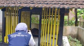 Observasi tempat bersejarah di Cungkup Mbah Iro Truno.  Foto: Dokumentasi pribadi Kelompok 97 KKN UNS