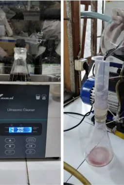 Mahasiswa UNS Teliti Empat Metode Ekstraksi Antosianin Buah Murbei untuk Dukung Pengembangan Bahan Bioaktif Bernilai Tinggi
